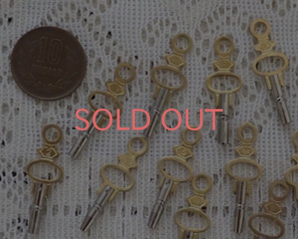 画像5: ウォッチキー/1本 (5)