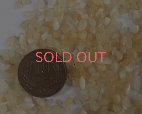 画像2: アラゴナイトのかけら（25g） (2)