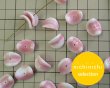 画像3: ns180ヴィンテージ/ドイツ/チップス/ピンクホワイト/約16×14mm（2個） (3)