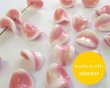 画像1: ns180ヴィンテージ/ドイツ/チップス/ピンクホワイト/約16×14mm（2個） (1)