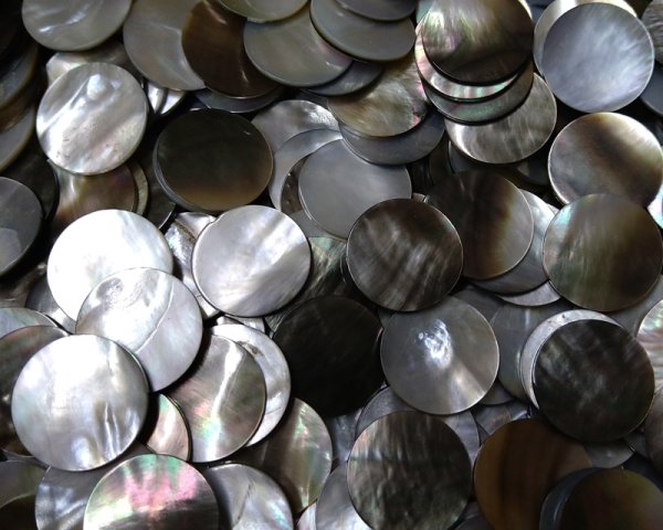 画像2: 訳ありシェルプレート(6枚) (2)