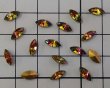 画像2: ヴィンテージ/ガラス/ヴィトレイル/ナベット/8×4mm(2個) (2)