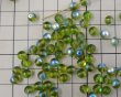 画像2: チェコガラスビーズ/ラウンド/オリバインオーロラ/6mm(10個) (2)