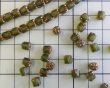 画像3: チェコガラスビーズ/アンティークスタイルオクタゴナル/マットオリーブ/約6×5mm（10個） (3)