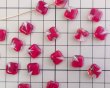 画像2: チェコガラスビーズ/フラットスクエア/約12mm/クリア×レッド(2個） (2)
