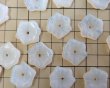 画像2: チェコガラスビーズ/ホワイトオパールラージフラワー/約22mm（1個） (2)