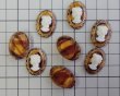 画像2: ns315/ヴィンテージ/ドイツ/ガラスカメオ/鼈甲風＋ゴールドレース（1個） (2)
