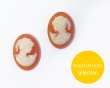 画像1: ns355/ヴィンテージ/ドイツ/プラスチックカメオ（ネックレス）/アプリコット/約18×13mm/(1個) (1)