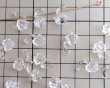 画像2: ヴィンテージ/ドイツ/プラスチック/クリアローズドロップ(2個) (2)