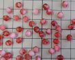 画像2: チェコガラスビーズ/ファイアポリッシュ/6mm/フーシャホワイトミックス(12個） (2)