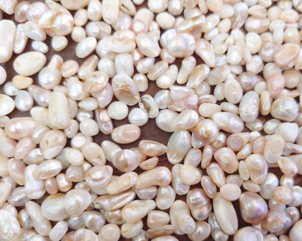 画像1: 淡水パールミックス・ロットB(5g) (1)