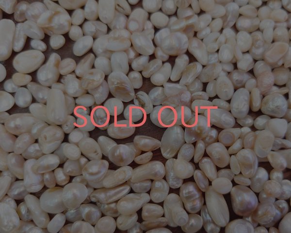 画像1: 淡水パールミックス・ロットB(5g) (1)