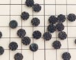 画像2: ヴィンテージ/チェコ/ガラスカボション/ブラックローズ/約8mm(1個) (2)