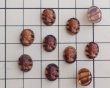 画像2: ns363/ヴィンテージ/ドイツ/ガラスカメオ/ブラウンマーブル/約10×8mm(1個) (2)