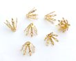 画像1: ブラス/ビーズキャップE/10×13mm/ゴールド(2個) (1)