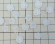 画像2: ヴィンテージ/日本/プラスチック/フロストフラワー/約10mm(1個) (2)