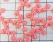 画像2: ヴィンテージ/日本/プラスチック/ミニコーラルローズ/約7mm(1個) (2)