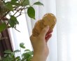 画像3: ヴィンテージ/ドイツ/プラスチック/ラージプレート（1個） (3)