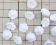 画像1: ヴィンテージ/ドイツ/プラスチック/レトロフラワー/ホワイト(1個) (1)