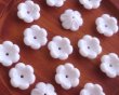 画像1: ヴィンテージ/プラスチック/ホワイトフラワー(2個) (1)