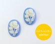 画像1: ns319ヴィンテージ/ドイツ/プラスチックカメオ/薔薇/ベビーブルー/約14×10mm/(1個) (1)