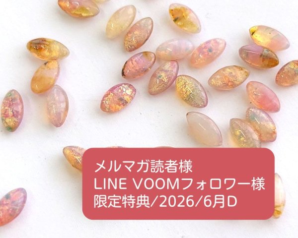 画像1: 限定特典/2026/6月D/ヴィンテージストーン2個 (1)