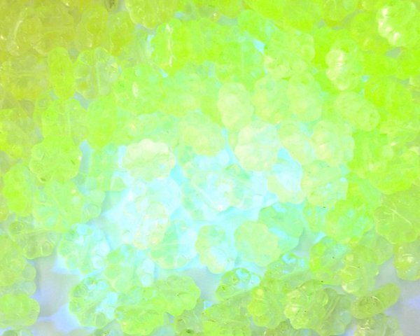 画像3: チェコガラスビーズ/パフフラワー/ウラニウムイエロー(6個) (3)