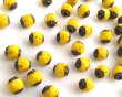 画像1: チェコガラスビーズ/アンティークスタイルオクタゴナル/ダブルフェイス/オペークイエローピカソ/6mm（10個） (1)