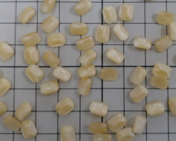 画像2: ヴィンテージ/ドイツ/ガラス/ベージュムーン/オクタゴン/8×6mm(2個) (2)