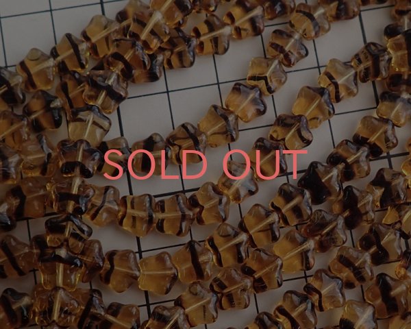 画像2: チェコガラスビーズ/パフスター/トータス(10個) (2)