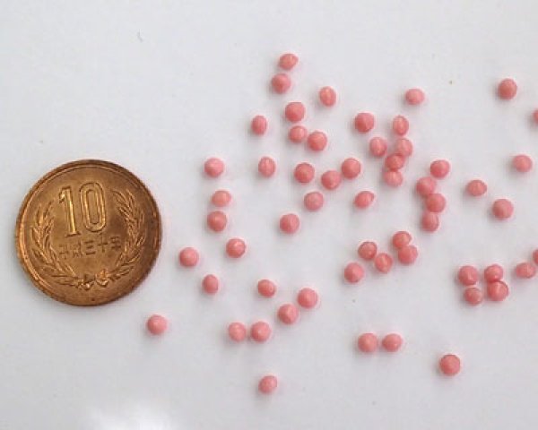 懐中時計　てんとう虫　キーホルダー　時計　バッグチャーム　ペンダント　レディース