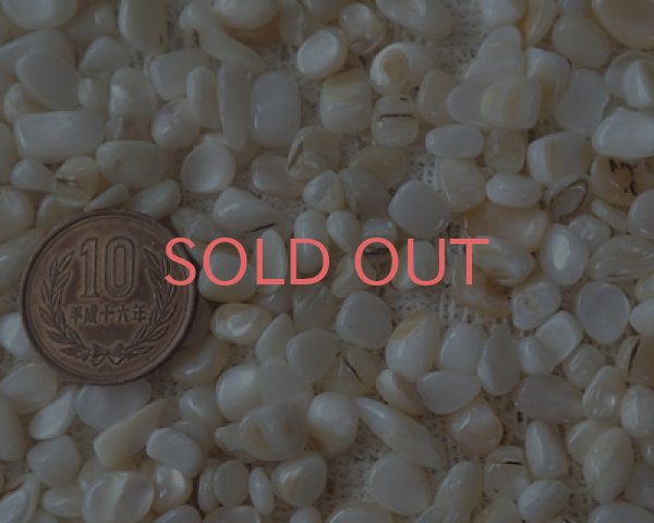 画像2: マザーオブパールのかけら(25g) (2)