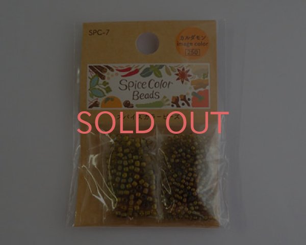 画像2: トーホー/スパイスカラービーズ/7.カルダモン (2)
