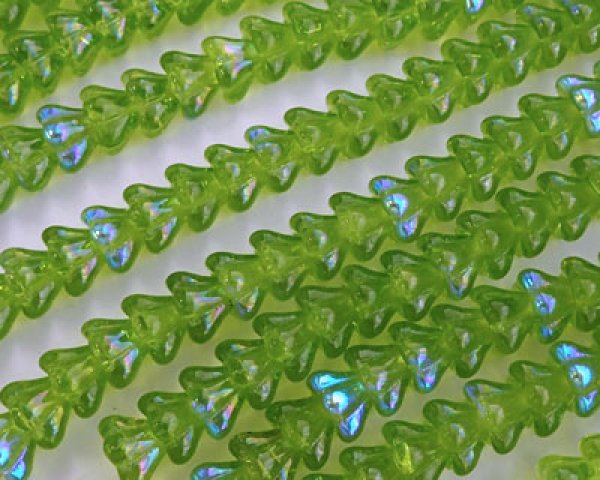 画像2: チェコガラスビーズ/ベルフラワー/オリバインオーロラ(10個) (2)