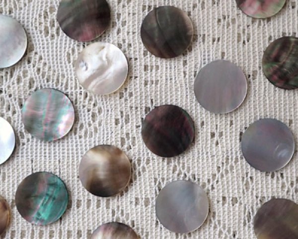 画像3: 訳ありシェルプレート(6枚) (3)