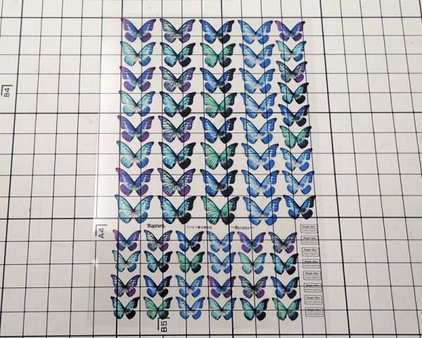 画像2: レジン封入シート/Morpho・L/A6 (2)