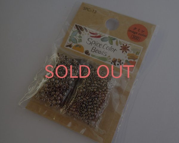 画像2: トーホー/スパイスカラービーズ/13.クミン (2)