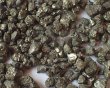 画像1: パイライトのかけら（25g） (1)