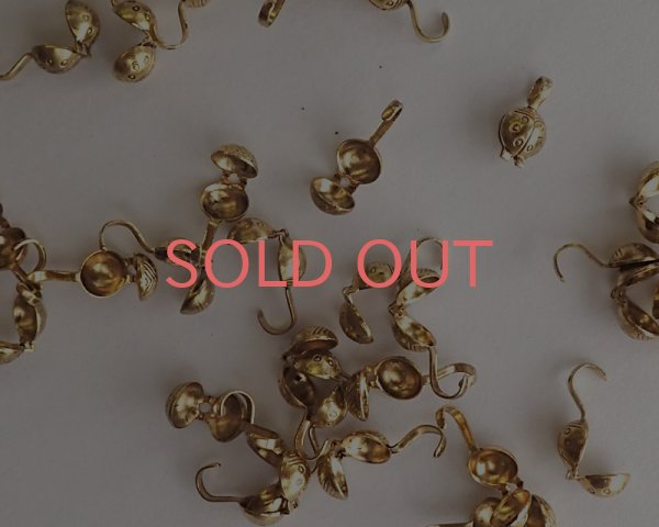 画像1: ブラス/デザインボールチップ/てんとうむし(10個) (1)